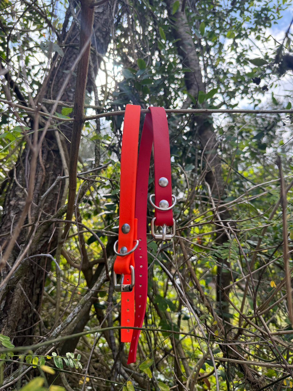 Biothane Collar