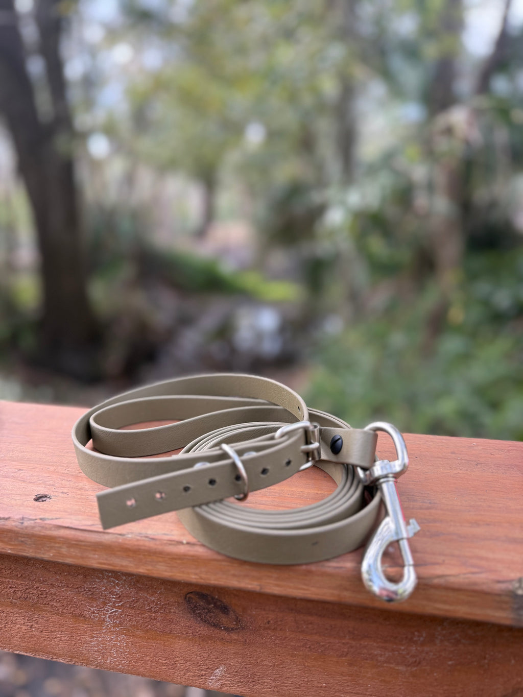 Dog Leash and Collar Bundle