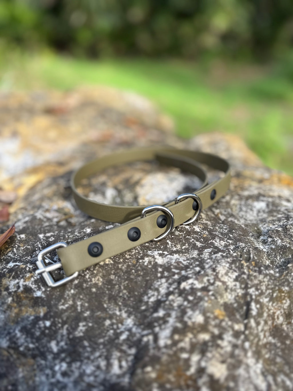 Heavy Duty Biothane Collar