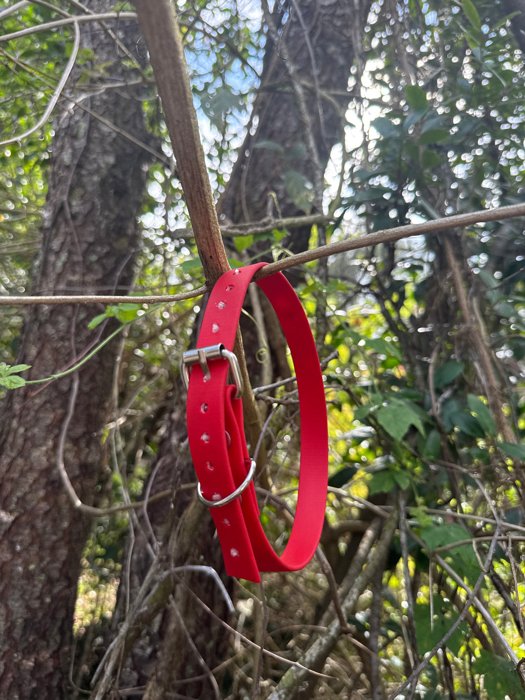Biothane Collar