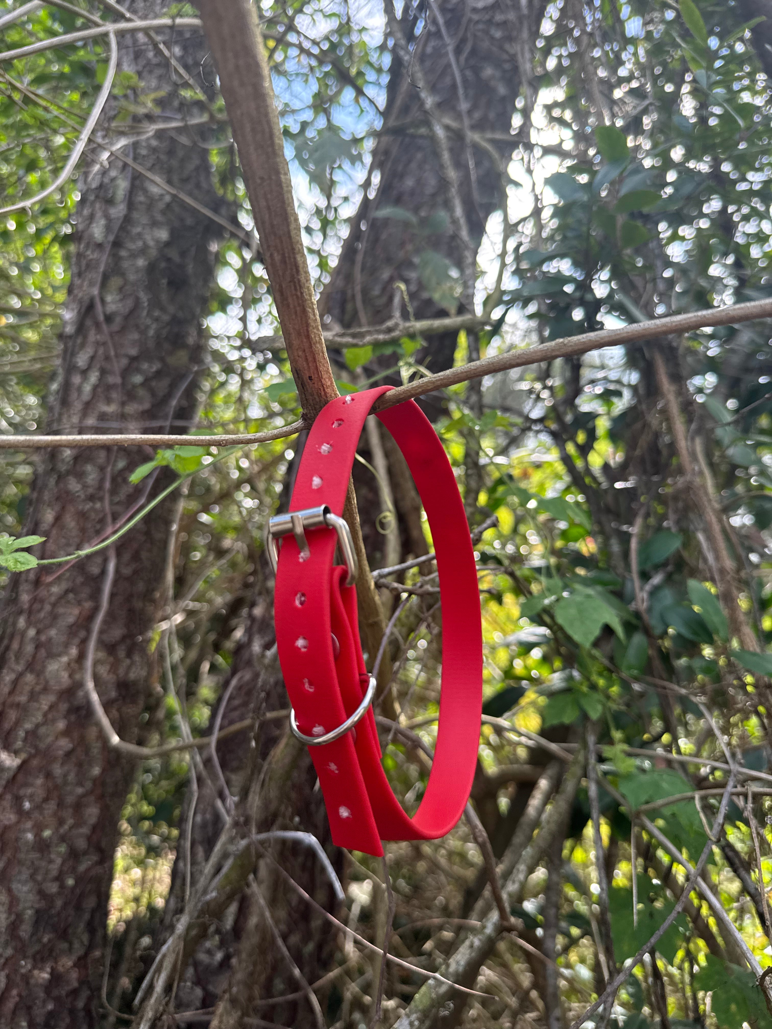 Biothane Collar