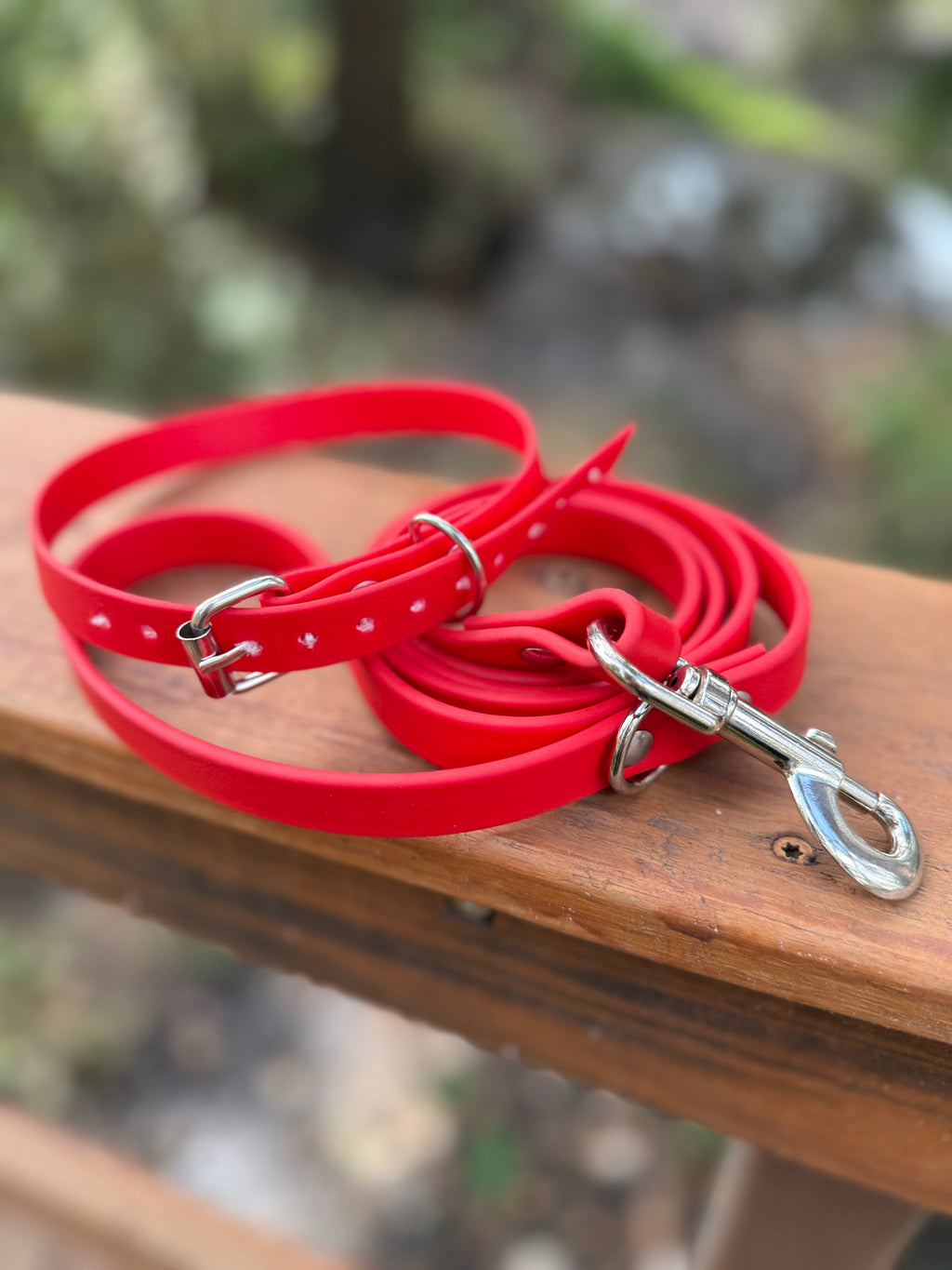 Dog Leash and Collar Bundle
